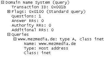 DNS-Anfrage